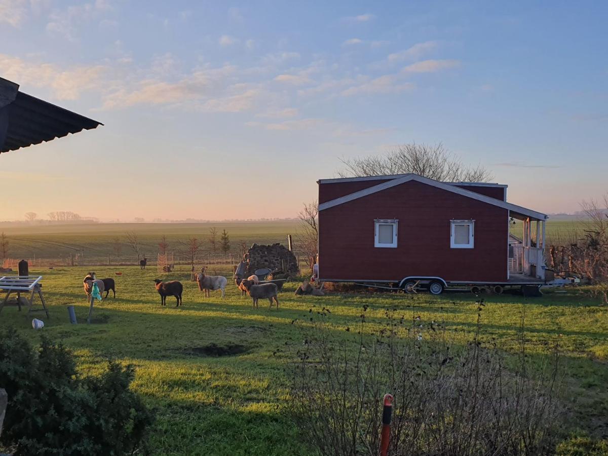 Tiny House Villa Schonbeck  Luaran gambar